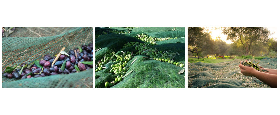 90 m à 120 m de long HDPE Anti UV Olive Net