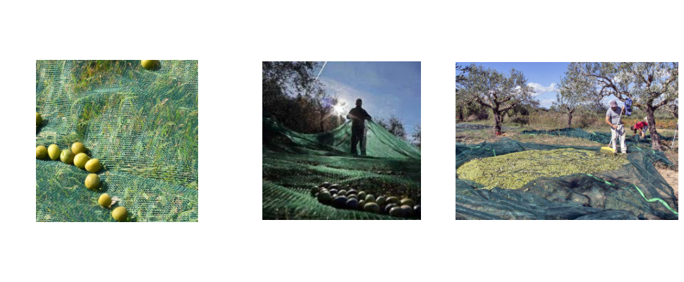 Venta de redes de recolección de aceituna de fábrica