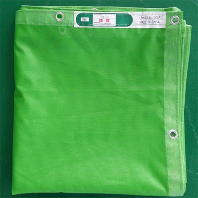 Filet d'échafaudage vert