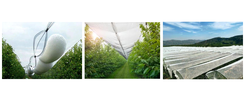 Tissu anti-UV, bord vert, 160 g/m², anti-grêle, usine d'exportation