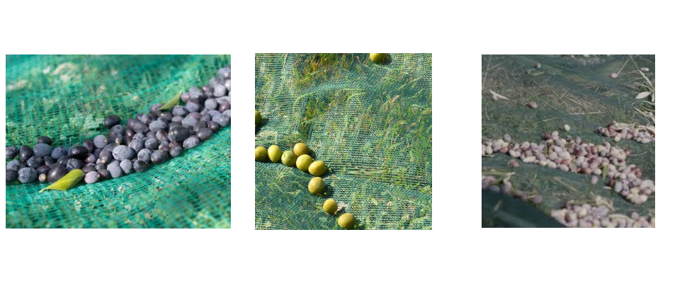 HDPE Oliv Net Supplier