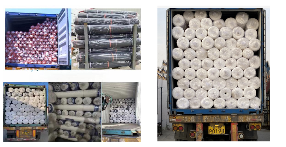 Olive Tree Netting Factory Olive Tree Netting Factory