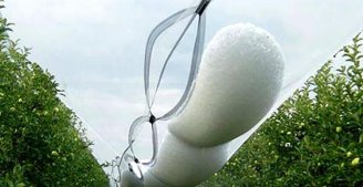 Hail netting: a "protective umbrella" for farmers and fruit growers, effectively reducing disaster losses