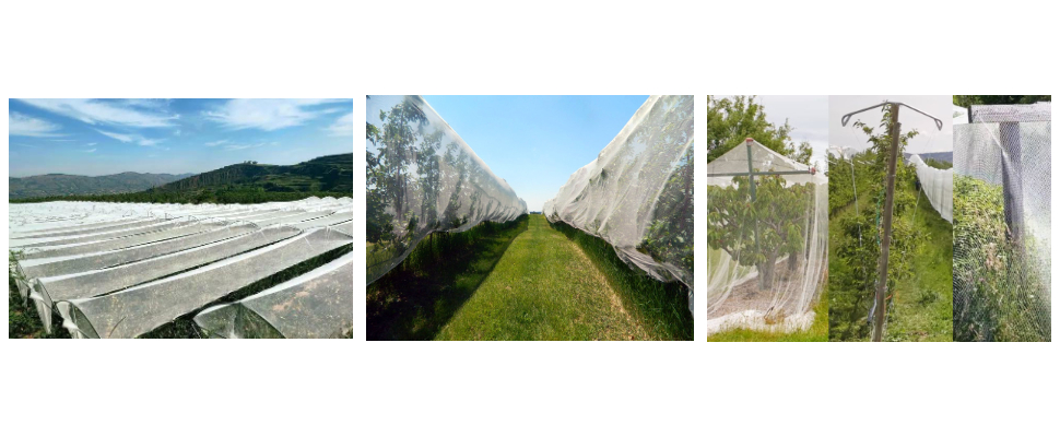 Fournisseur de filets anti-grêle Agfabric Fournisseur de filets anti-grêle Agfabric