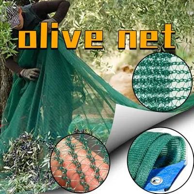 Filet d’olive HDPE agricole de haute qualité