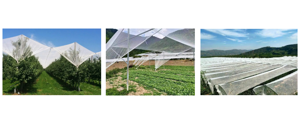 Proveedor de redes antigranizo Proveedor de redes antigranizo