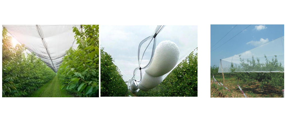 Filet anti-grêle anti-UV