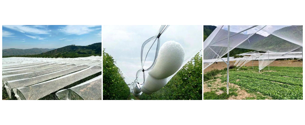 Neta de granizo anti UV de polietileno seguro y resistente a la abrasión Neta de granizo anti UV de polietileno seguro y resistente a la abrasión