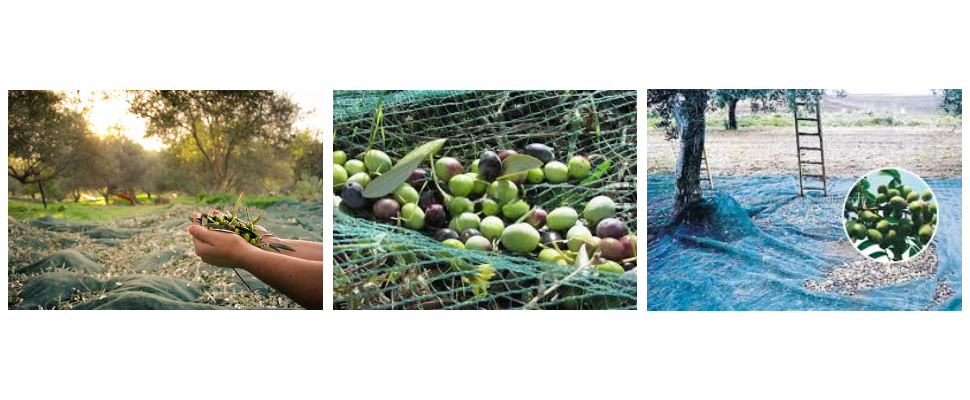 Olive Catching Net Supplier