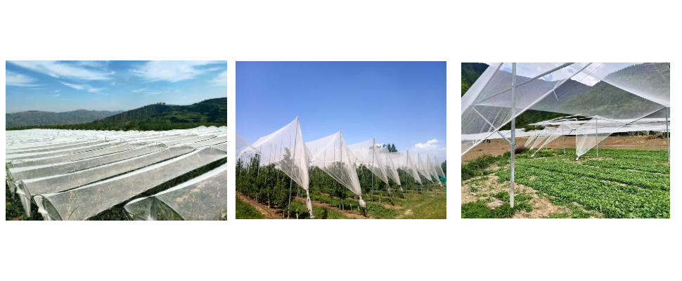 Fournisseur de filets antigrêle Fournisseur de filets antigrêle