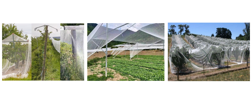 Wholesale Hail Net Price