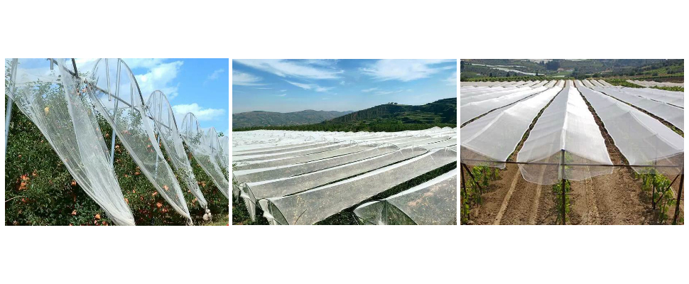 Pouvez-vous faire le design pour nous ? -----Oui bien sûr. Faites-nous part de vos idées et nous vous aiderons à transformer vos idées en prototypes et en produits finaux.