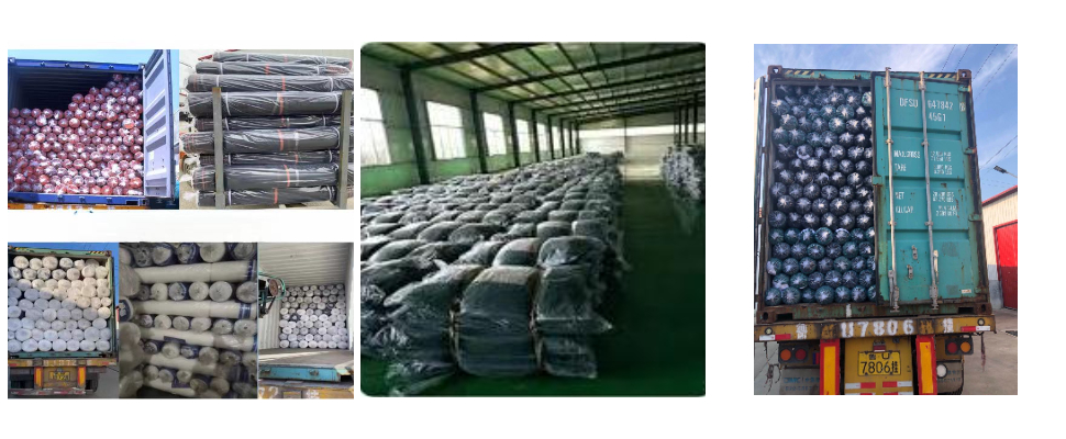 Filet d’olive en plastique vert et filet de récolte de fruits