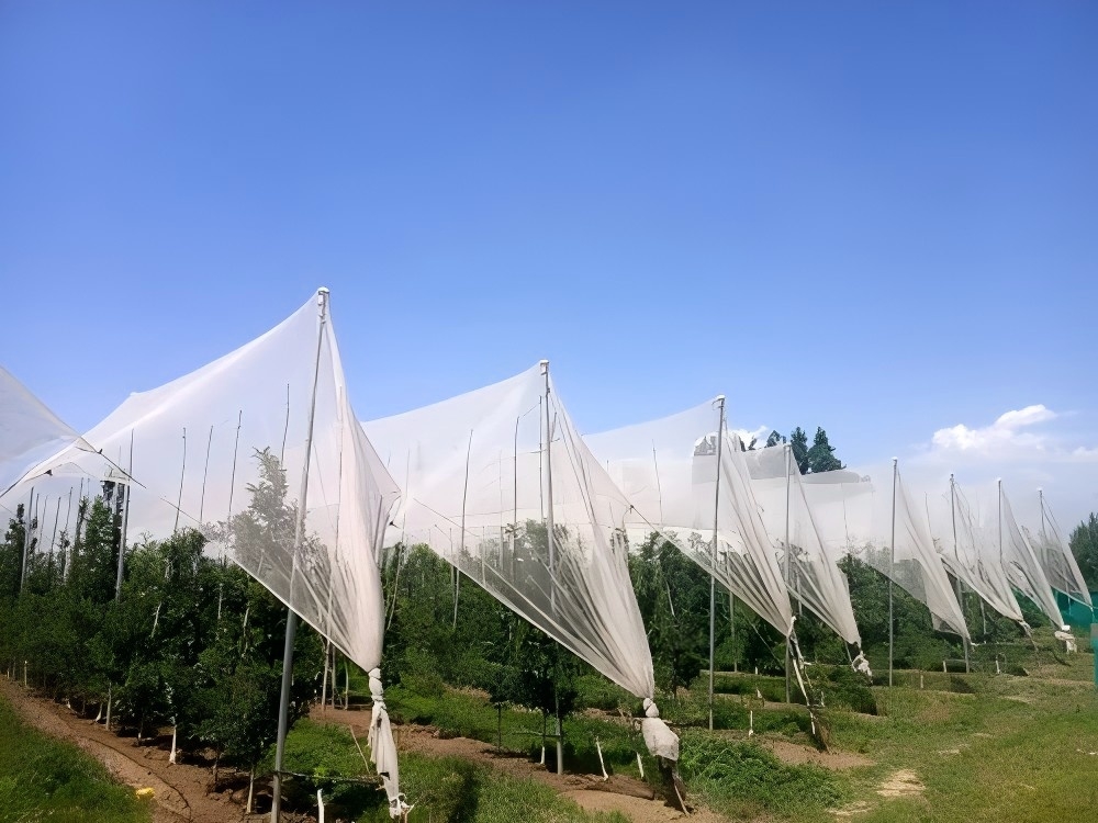 Garden Hail Cloth Wholesaler,Garden Hail Cloth Manufacturer