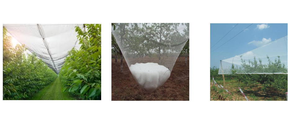 Filet anti-grêle de 4 mètres de large