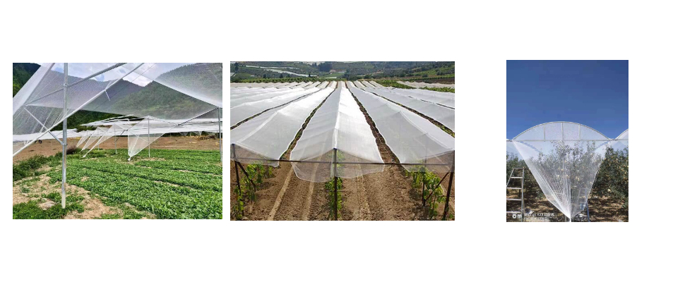 Prix ​​de gros des filets anti-grêle