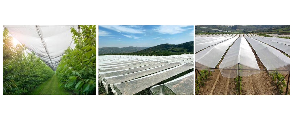 Lightweigh 4m Wide UV Resistant HDPE Anit Hail Netting For Plants