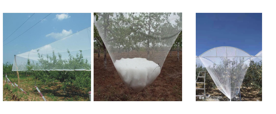 Fournisseur de tissu anti-grêle