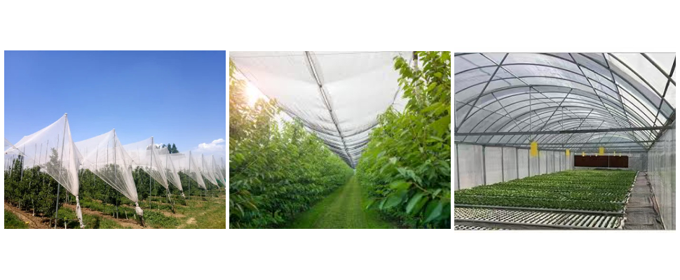 Specializing In The Production Of Pure Natural 100% HDPE Anti UV Plant Hail Protection Specializing In The Production Of Pure Natural 100% HDPE Anti UV Plant Hail Protection