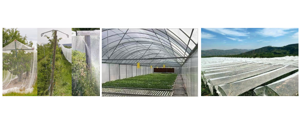 Prix ​​net anti-grêle du fournisseur