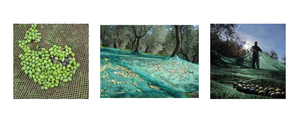 Strong Corrosion Resistant High Density Polyethylene Plastic Olive Net For Agriculture Strong Corrosion Resistant High Density Polyethylene Plastic Olive Net For Agriculture