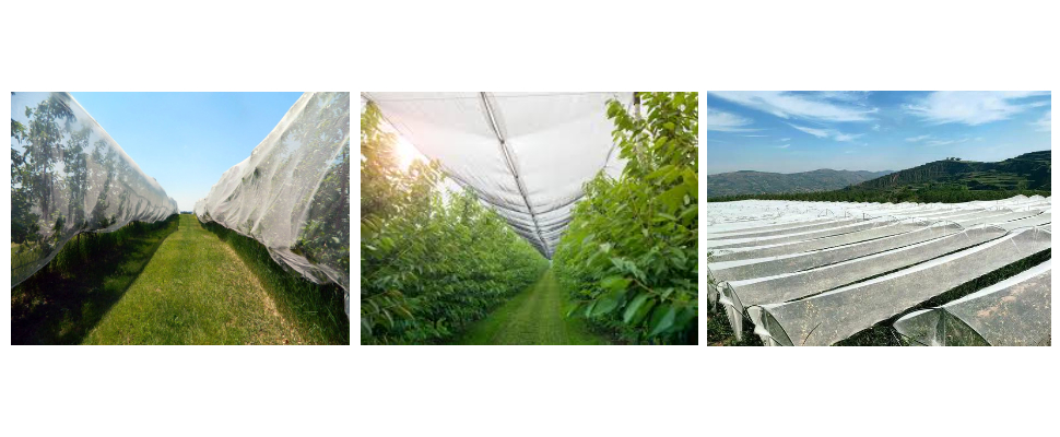 Prix ​​de gros des filets anti-grêle