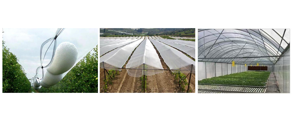 Olive Nets Factory Olive Nets Factory