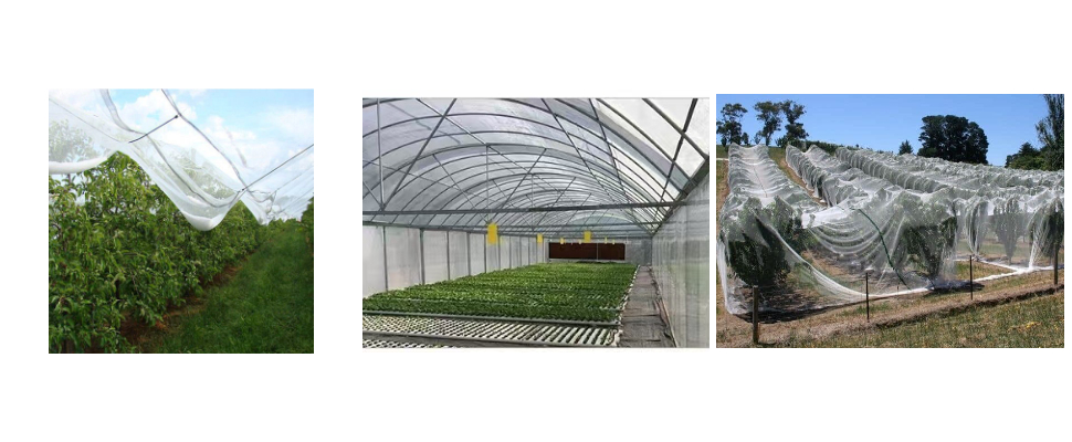 Filet anti-grêle de 6 mètres de large Filet anti-grêle de 6 mètres de large