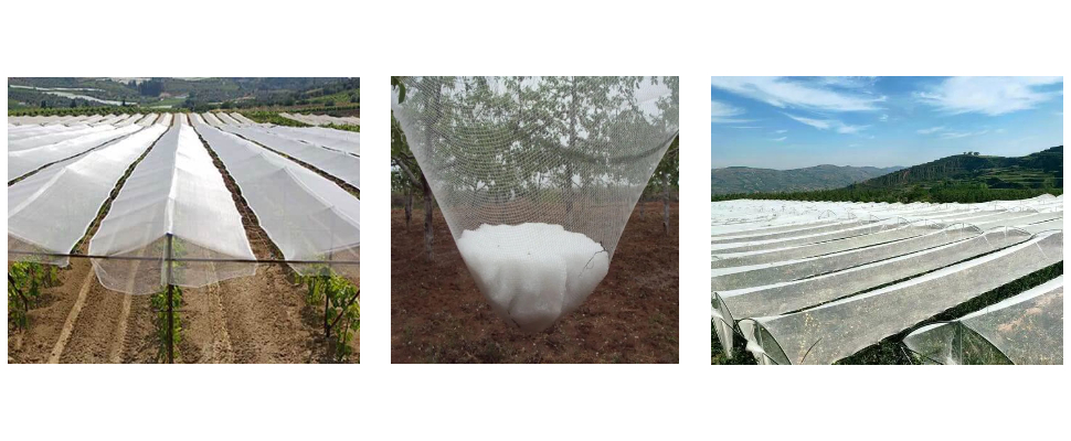 Strong And Corrosion Resistant Triangular Mesh HDPE Hail Cloth For Export Strong And Corrosion Resistant Triangular Mesh HDPE Hail Cloth For Export