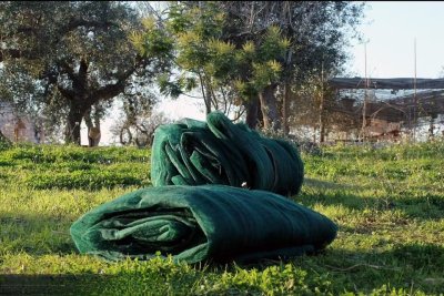Olive Harvest Nets For Sale