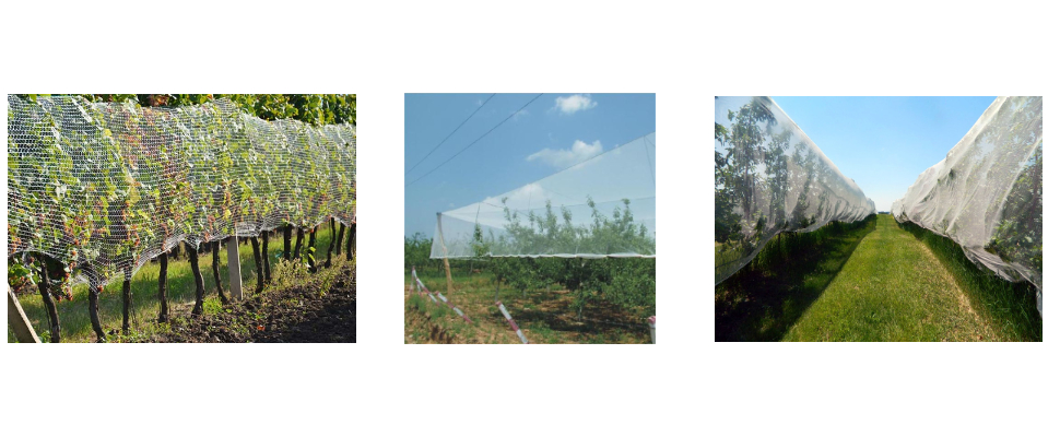 White Strong Original Plastic Factory 130GSM Hail Netting For Vineyards