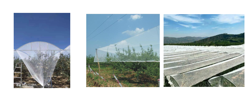 Commercial Hail Netting