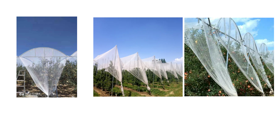 Filet anti-grêle de 5 mètres de large