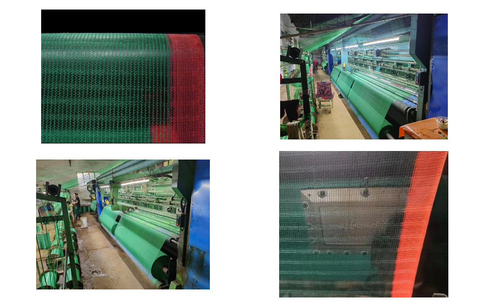 Proveedor de redes para olivos