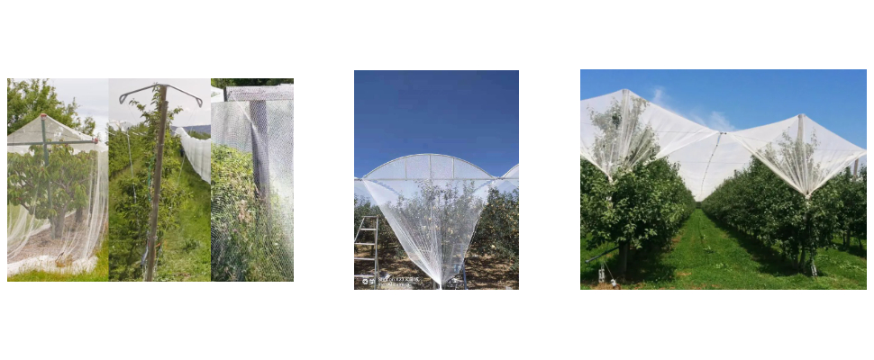 Filet anti-grêle de 1 mètre de large