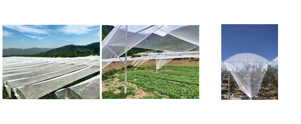 3m x 50m Long Hail Net